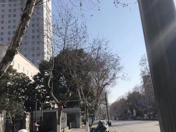 崇明律師講解編造、故意傳播虛假恐怖信息罪的認定標準，附經典案件