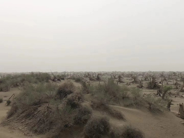 立遺囑時，見證人有什么要求嗎？上海律師事務所：必須符合這些