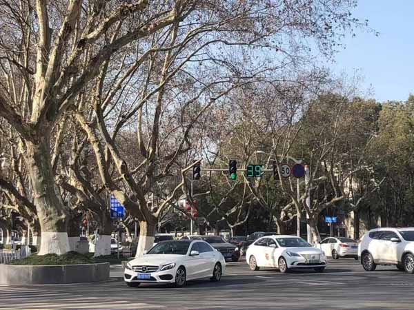松江區律師在線教你：如何識別假藥、劣質藥