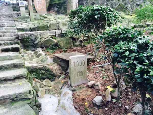 上海法律顧問:強拆時因古董楠木床還未搬出發生沖突，村民稱多人將其打傷