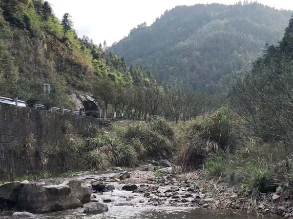 建設工程合同出現問題怎么辦？上海工程糾紛律師為您解答