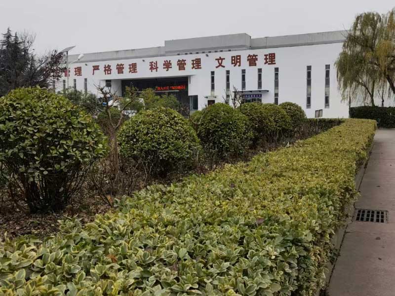 上海集資詐騙罪律師聊一聊拘留類型，他們有什么區別呢？