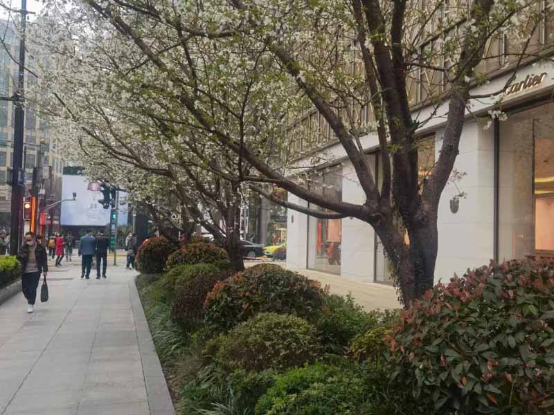 上海市律師事務所教你如何區分詐騙罪和集資詐騙罪