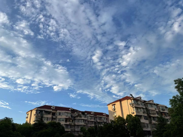 農用地上建養殖場到底用不用辦手續?奉賢區律師講解的真清楚！