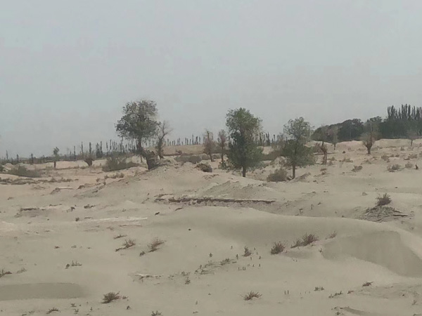 上海房地產律師在線解答：土地承包經營權可以繼承嗎