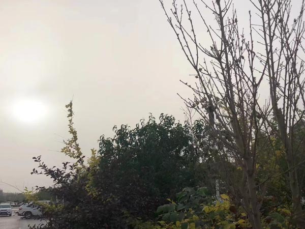知識產權糾紛的多元解決途徑有哪些？上海正規的律師事務所帶您了解相關情況
