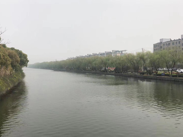 徐匯區律師一文讓你徹底了解走私文物罪